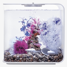 Biorb Fish Tank Decor, HD Png Download, Free Download