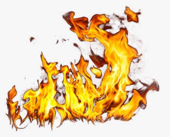 Fire Gif No Background, HD Png Download, Free Download