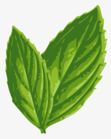 Download Mint Png Image - Mint Leaf Clip Art, Transparent Png, Free Download