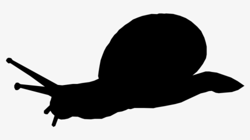 Silueta, Animales, Caracol, Shell, Lento - Snail Silhouette Png, Transparent Png, Free Download