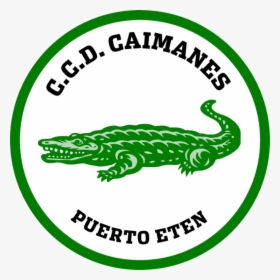 Caimanes - Los Caimanes, HD Png Download, Free Download
