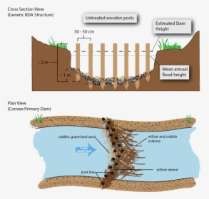 Picture - Beaver Dam Diagram, HD Png Download, Free Download