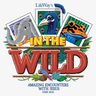 Im The Wild Vbs, HD Png Download, Free Download