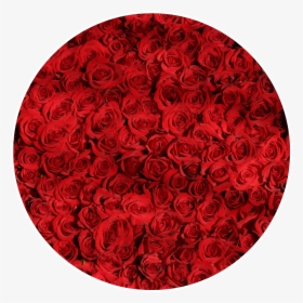 Transparent Red Circle Frame Png - Roses Wallpaper Iphone X, Png Download, Free Download