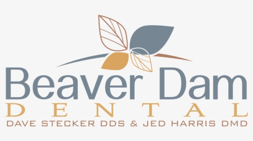 Beaver Dam Dental Introduction Video By Envision - Vernazza, HD Png Download, Free Download