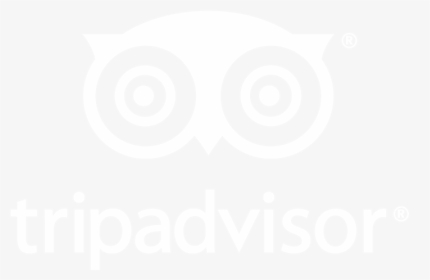 Trip Advisor Logo White, HD Png Download, Free Download