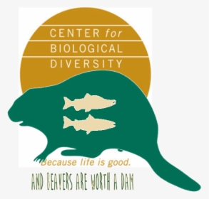 Center For Biological Diversity, HD Png Download, Free Download