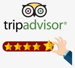 Tripadvisor - Tripadvisor Logo Png Transparent, Png Download, Free Download