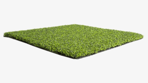 Artificial Grass Liquidators Turf Agl Pro Putt56 - Lawn, HD Png Download, Free Download
