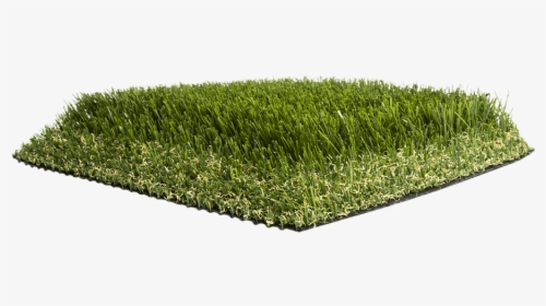Artificial Grass Liquidators Turf Agl Pro110 - Lawn, HD Png Download, Free Download