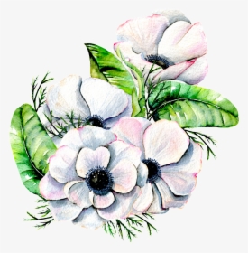 Hand Painted Elegant White Flower Png Transparent - White Watercolor Flower Png, Png Download, Free Download