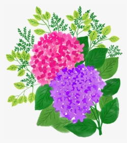 Watercolor Flowers, Watercolour, Floral, Painting - Hydrangea, HD Png Download, Free Download