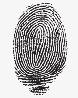 Transparent Fingerprints Png - Transparent Transparent Background Fingerprint, Png Download, Free Download