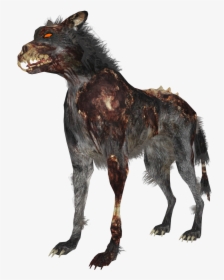 Zombie Wolf Zps4bf8a59d - Hellhound Png Black Ops, Transparent Png, Free Download