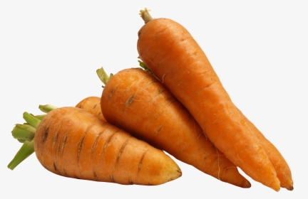 Free Download Of Carrot Icon Png, Transparent Png, Free Download