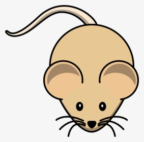 Gerbil, Mouse, Rodent, Brown, Animal, Mammal, Small - Cartoon Mouse, HD Png Download, Free Download