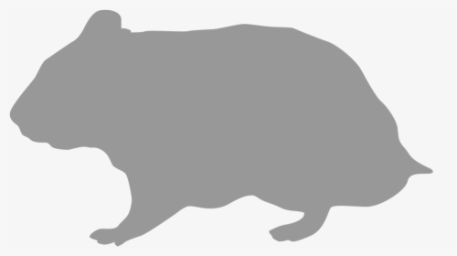 Rodent Hamster Silhouette Gerbil - Wombat, HD Png Download, Free Download