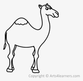 Png Camel Cartoon Black And White, Transparent Png, Free Download