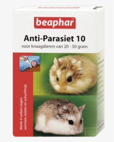 Beaphar Anti Parasiet 10, HD Png Download, Free Download