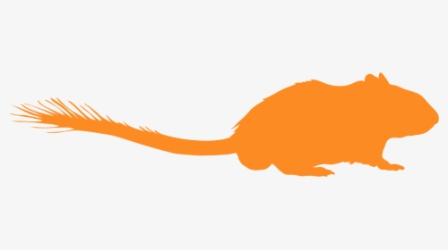 Gerbil Silhouette, HD Png Download, Free Download