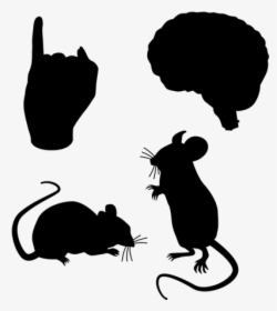 Rat, HD Png Download, Free Download