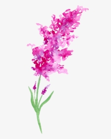 Flower Natalie Graham Watercolour, HD Png Download, Free Download