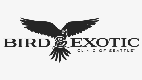 Bird & Exotic Veterinary Services - Hawk, HD Png Download, Free Download