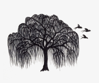 Transparent Joshua Tree Clipart - Willow Tree Silhouette Free, HD Png Download, Free Download