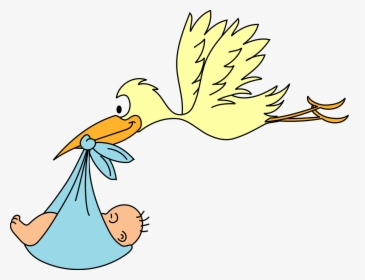 Infant White Stork Clip Art - Baby Stork Png, Transparent Png, Free Download
