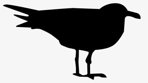 Png Black And White Stock Seagulls Drawing Silhouette - Black And White Gull Icon, Transparent Png, Free Download