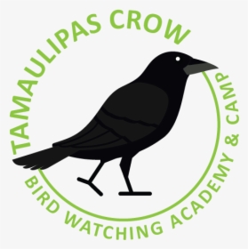 Tamaulipas Crow Picture - Recycle, HD Png Download, Free Download