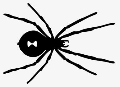 Spider Clipart Black And White - Black Widow Spider Pattern, HD Png Download, Free Download