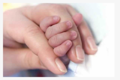 Adult And Child - Girl Hands With Baby, HD Png Download, Free Download