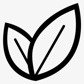 Houseplant, HD Png Download, Free Download