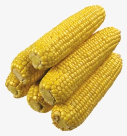 Grab And Download Corn Png Image - Corn On The Cob No Background, Transparent Png, Free Download