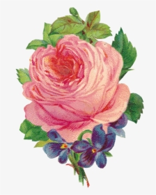 Schöne Rosa Vintage Rosehübscher Violetter Sprig Mauspad - Flores Rosas Vintage Png, Transparent Png, Free Download
