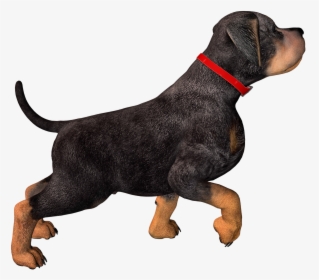 Free High Resolution Graphics And Clip Art - Dog High Resolution Png, Transparent Png, Free Download