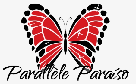 Parallele Paraiso Cosshop - News Agency Logo Quiz, HD Png Download, Free Download