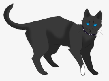 Scourge - Cartoon Transparent Background Cat Png, Png Download, Free Download