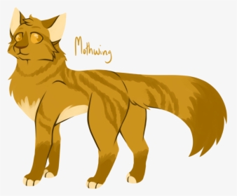 [100 Warrior Cats Challenge] - Warrior Cats Mothwing, HD Png Download, Free Download