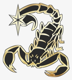 Return To Home - Hesperia High School Scorpion, HD Png Download, Free Download