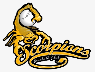 Schofields Scorpions Baseball Logo, HD Png Download, Free Download
