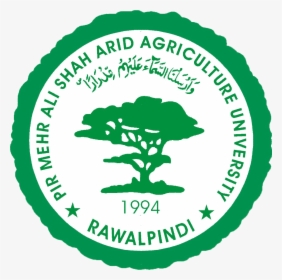 Transparent Logo Pkk Png - Pir Mehr Ali Shah Arid Agriculture University Logo, Png Download, Free Download