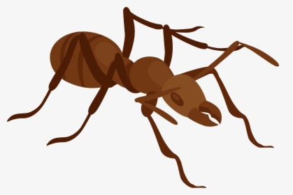Ant Png Clip Art - Clip Art Ant Png, Transparent Png, Free Download