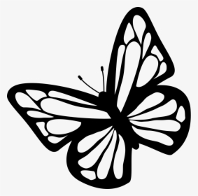 Butterfly Black And White Clipart Download Free Images - Butterfly Clipart Black And White, HD Png Download, Free Download