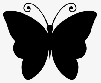 Download Black And White Butterfly Drawing Clipart Png Download Free Butterfly Svg Cut File Transparent Png Kindpng