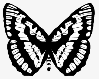 Black And White Butterfly 2 Clip Arts - Black And White Butterfly Designs, HD Png Download, Free Download