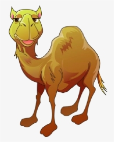 Funny Camel Clipart Pictures - Cartoon Camel Clipart Png, Transparent Png, Free Download