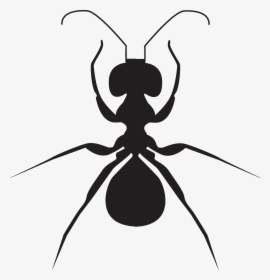 Ant Clipart , Png Download - Ant, Transparent Png, Free Download
