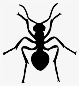 Clip Art Ant Silhouette - Silhouette Ant Clipart, HD Png Download, Free Download